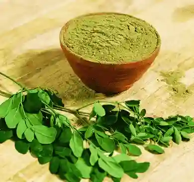 moringa-leaf-extract