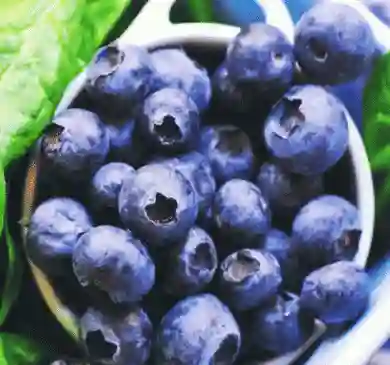quercetin